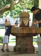 A Saratoga Mineral Spring