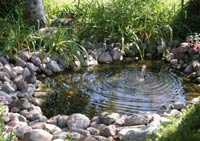 Saratoga Landscaping With Water Features - Add A Waterfall Or ...