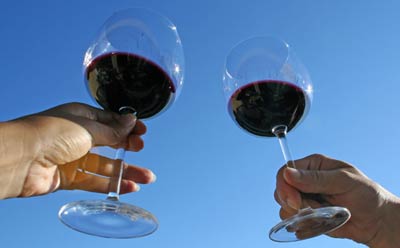 Saratoga Wine Tasting
