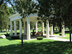 springs