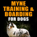 MYNE Training & Boarding