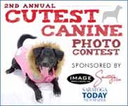 2nd Annual Cutest Baby Contest in Saratoga