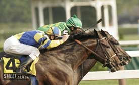 Street Sense - Winner of the 2007 Kentucky Derby
