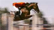 saratoga steeplechase festivals
