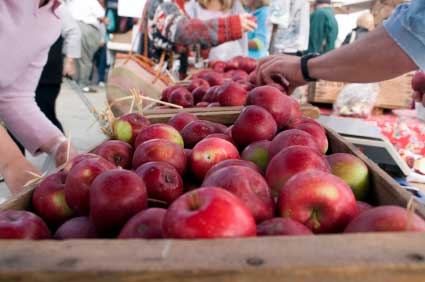 Apples in Saratoga