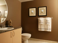 bathroom brown tones