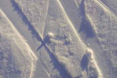 Cross country skiing in the Saratoga region