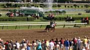 Flat Track At Saratoga Race Course