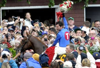 Winning horse with the Travers Winner's blanket