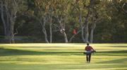 Golfer