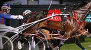 Harness Racing At RACINO