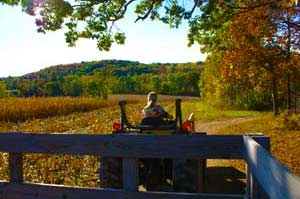 Fall Hayride On Farm