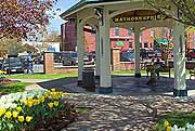 Hawthorn Spring Located Downtown