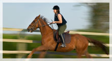 Horseback Riding