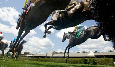 saratoga steeplechase festival