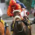 Saratoga racetrack logo