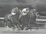 Saratoga Racetrack