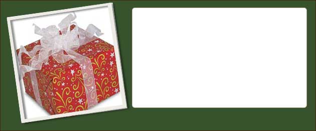 Saratoga Holiday Guide