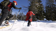 Snowshoeing