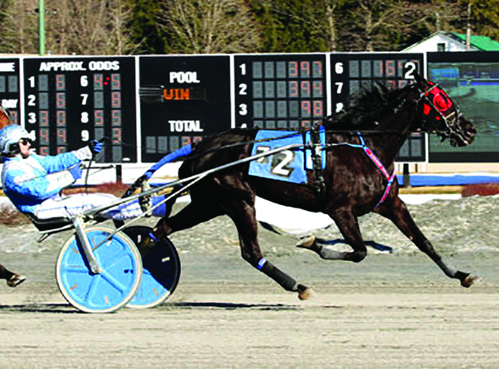 Saratoga Raceway Commences 76th Season Of Harness Racing At Crescent Saratoga Raceway Commences 76th Season Of Harness Racing At Crescent