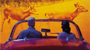 drive-ins