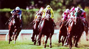 race course