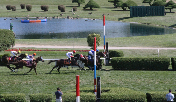 horses racing at saratoga