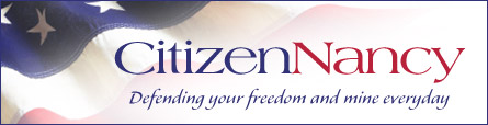 Citizen Nancy – Saratoga Springs Politics & More
