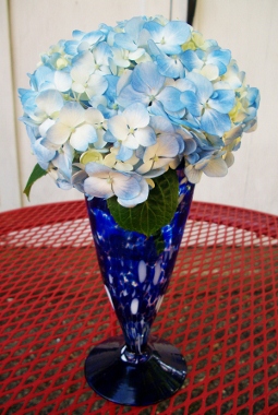 hydrangea.jpg