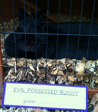 possessed bunny.jpg