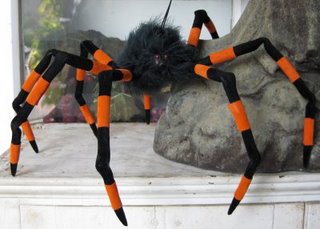 halloween-spider.jpg