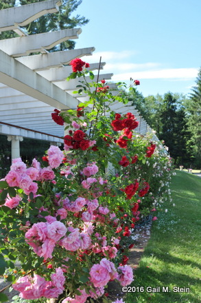 yaddo (15).jpg