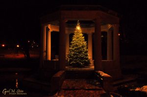 The Christmas Tree in the War Memorial.