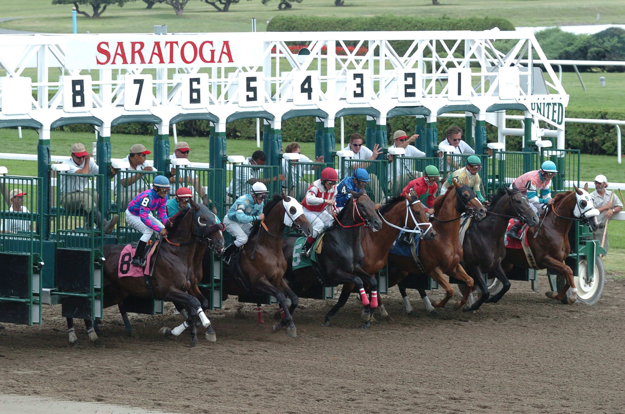 Saratoga Starting Gate Credit Adam Coglianese 2.jpg