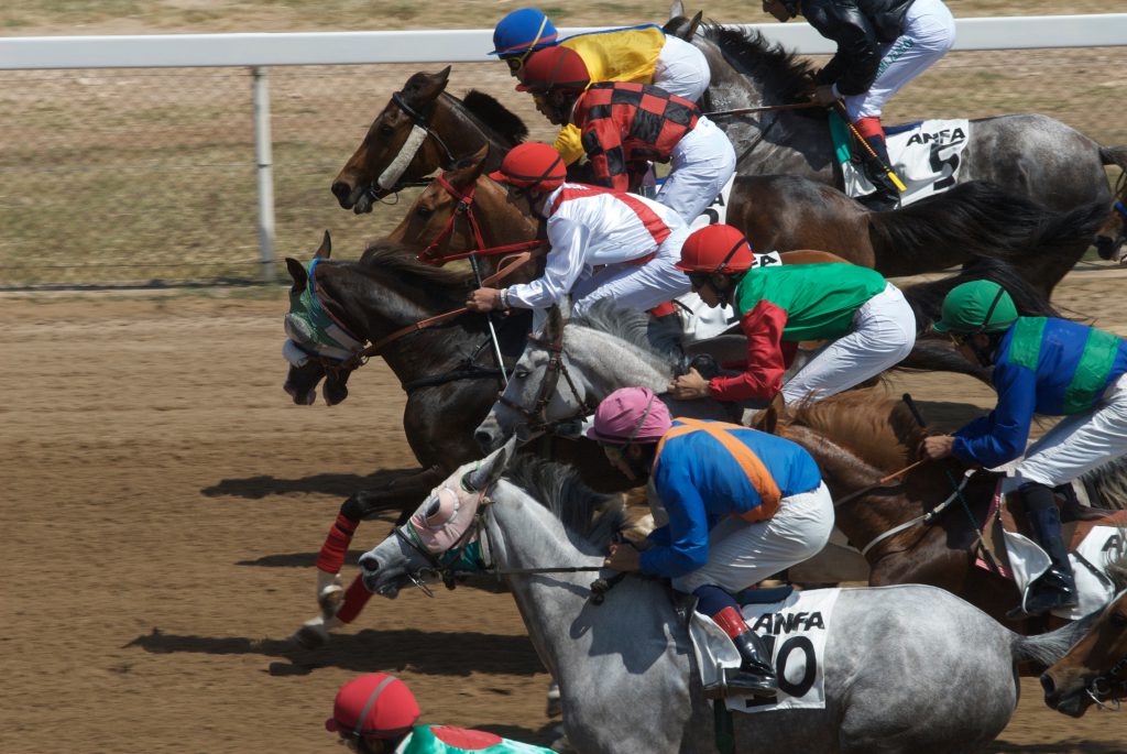Equicurean ARABIAN HORSES RACING Credit Mats Genberg.jpg