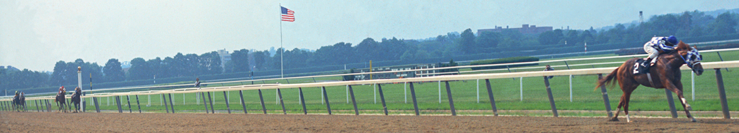 Secretariat 31 Lengths.jpg