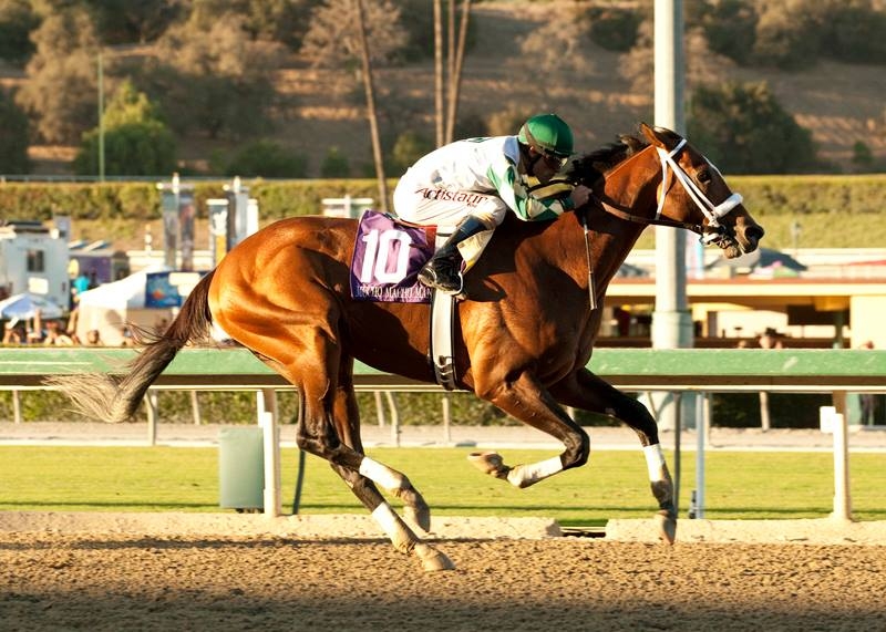 MUCHO MACHO MAN running full-tilt boogie.jpg