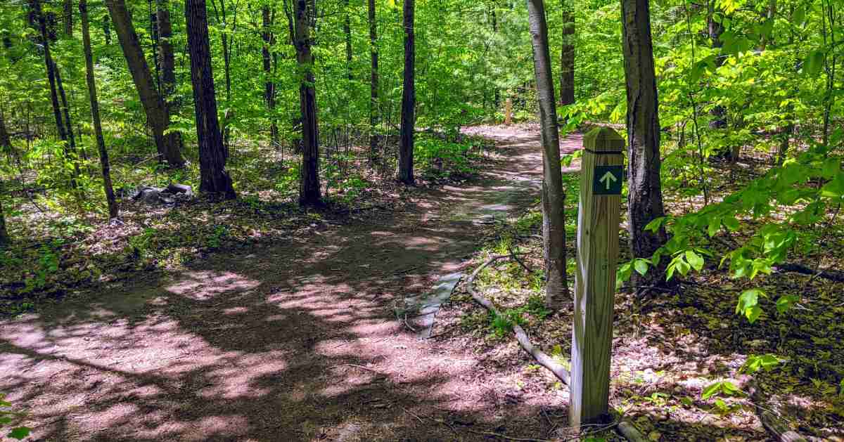 trail marker post