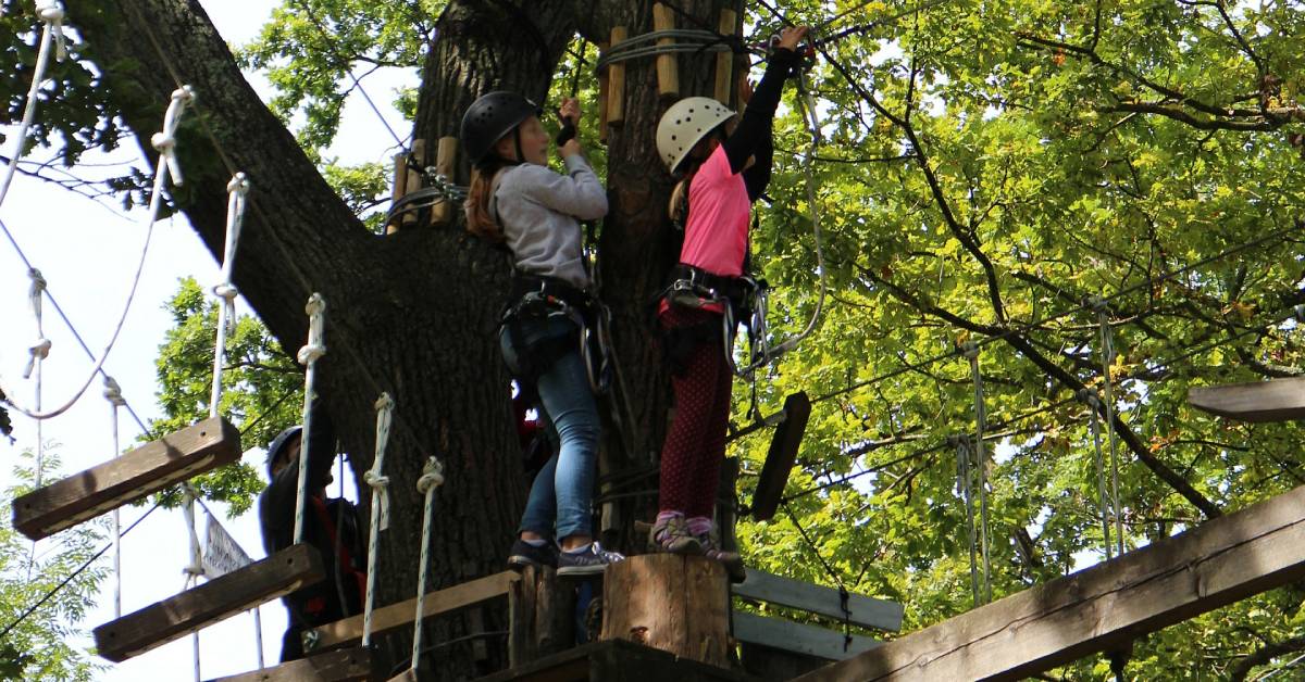 two kids on a treetop course
