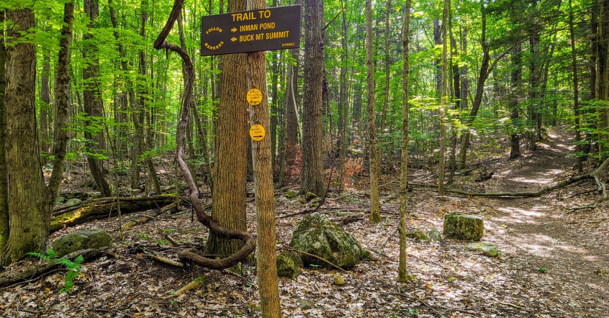 a trail sign for inman pond and buck mountain in the woods