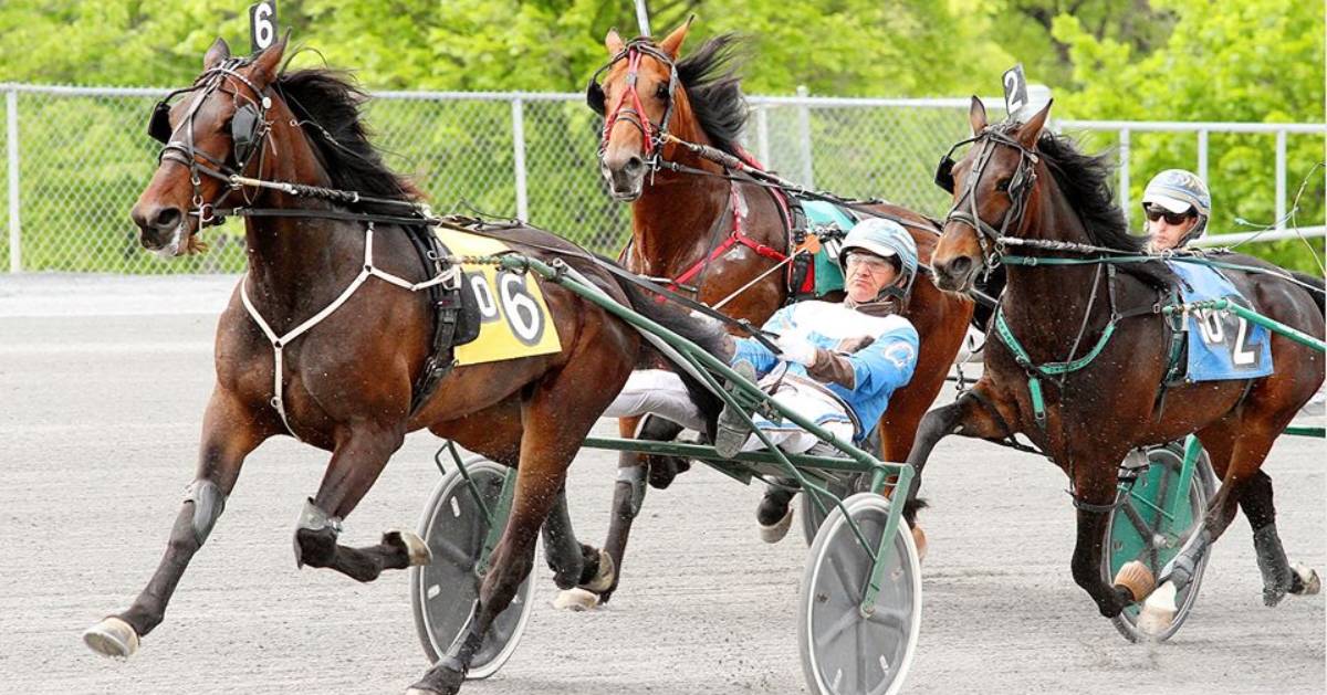 Insider Tips To The Ultimate Guys Weekend In Saratoga Insider Tips To The Ultimate Guys Weekend In Saratoga