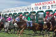 racing at Saratoga