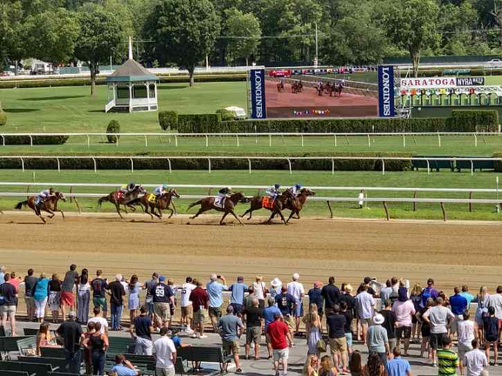 horses racing on the track