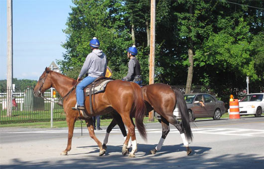 horses saratoga