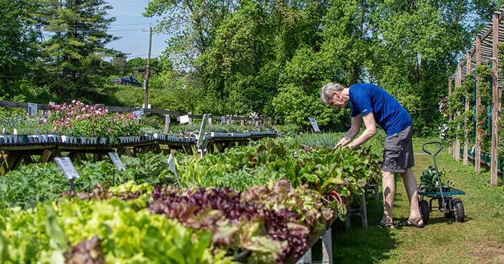 Visit Sunnyside Gardens In Saratoga Springs Ny For Locally Grown