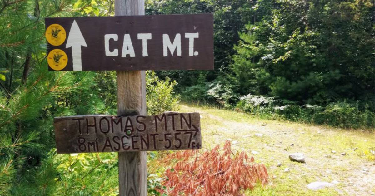 a trail sign for cat and thomas mountains