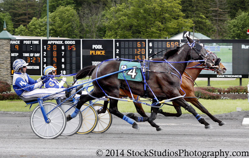 saratoga-harness-73rd-season.jpg