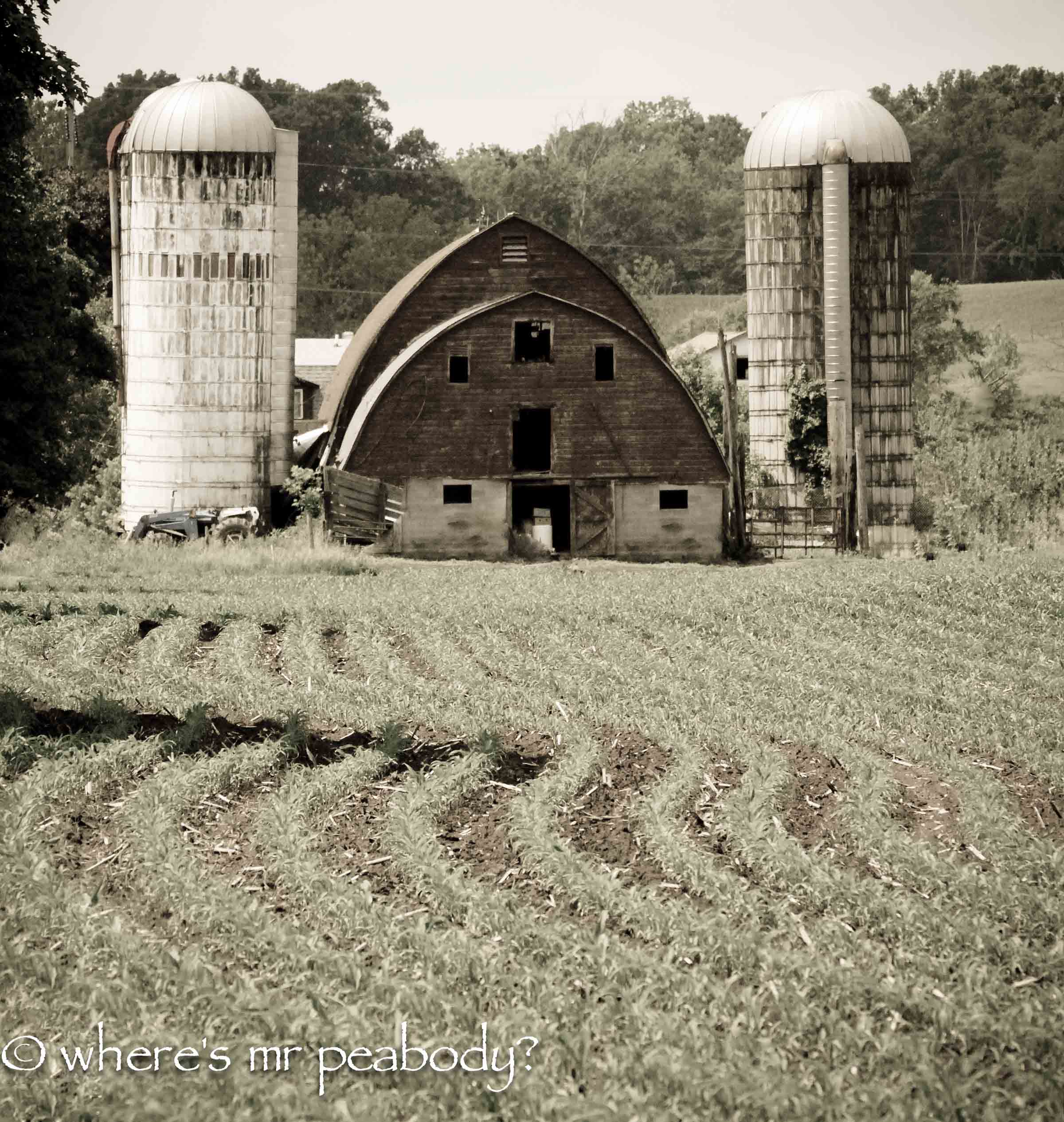 r001 barn corn 1.jpg