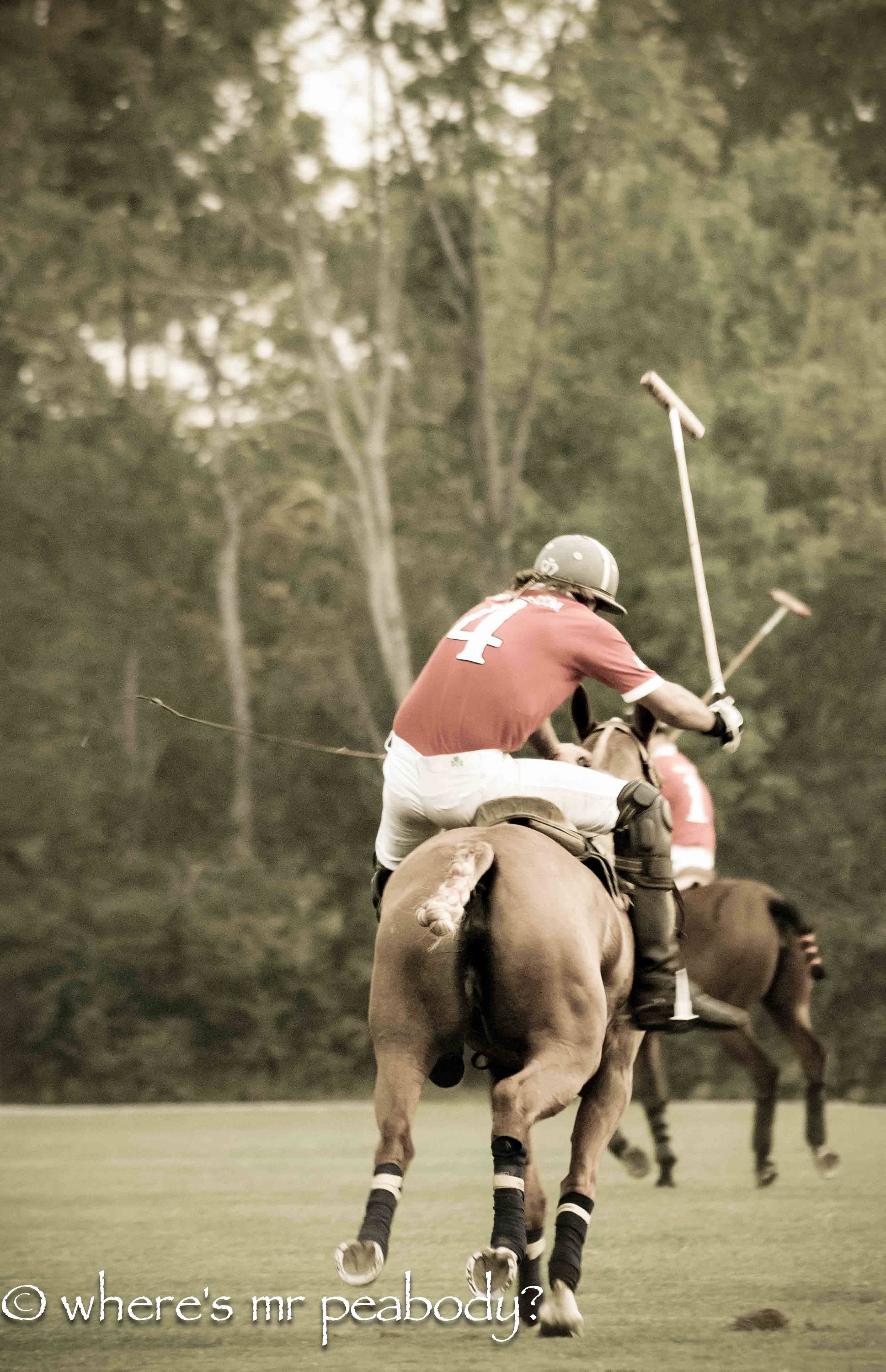 snapshots polo 14_.jpg