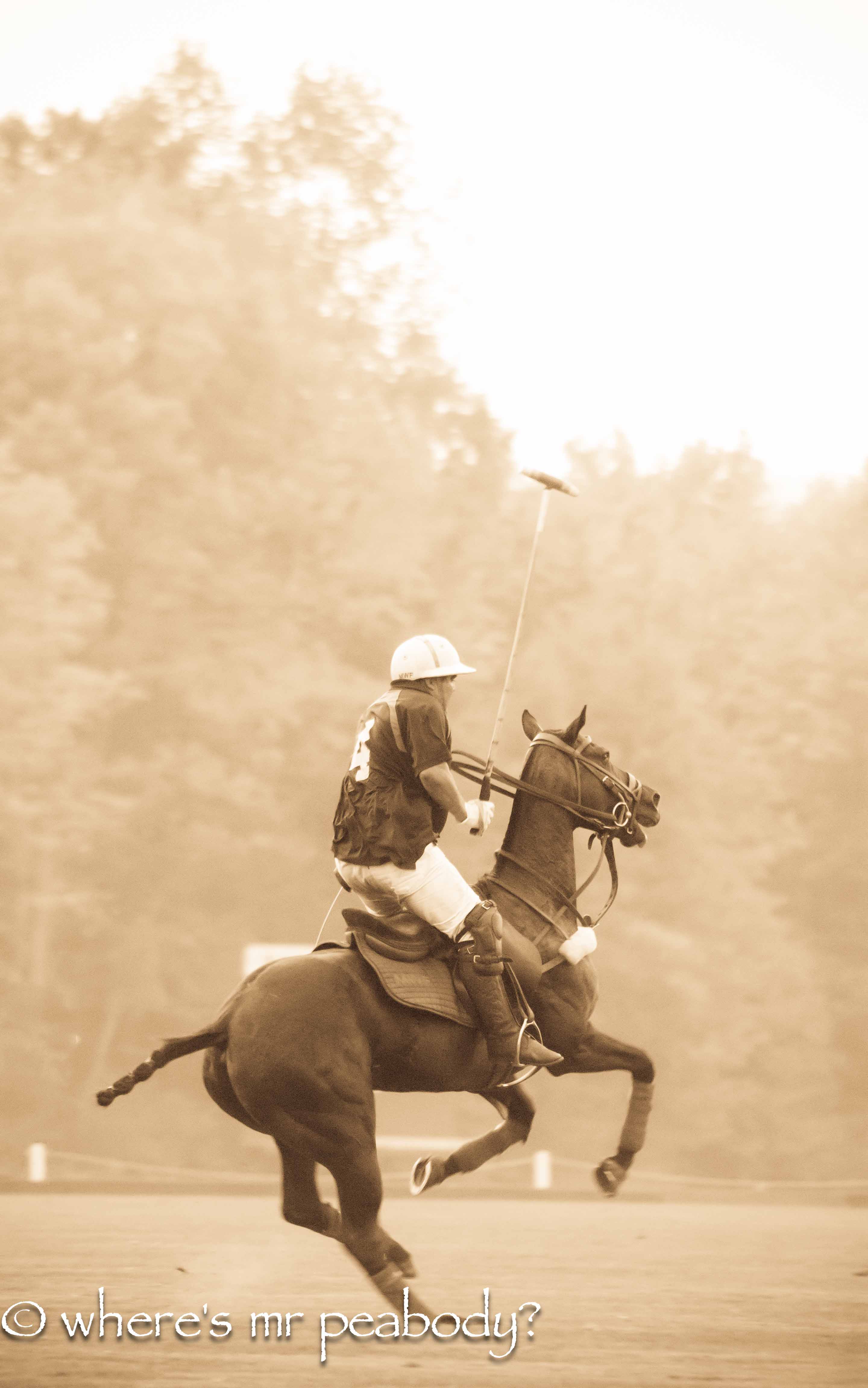 snapshots polo 15_.jpg